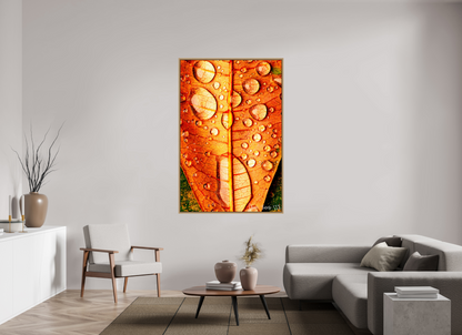 44 x 66″, Floater Frame Natural Oak Transparency