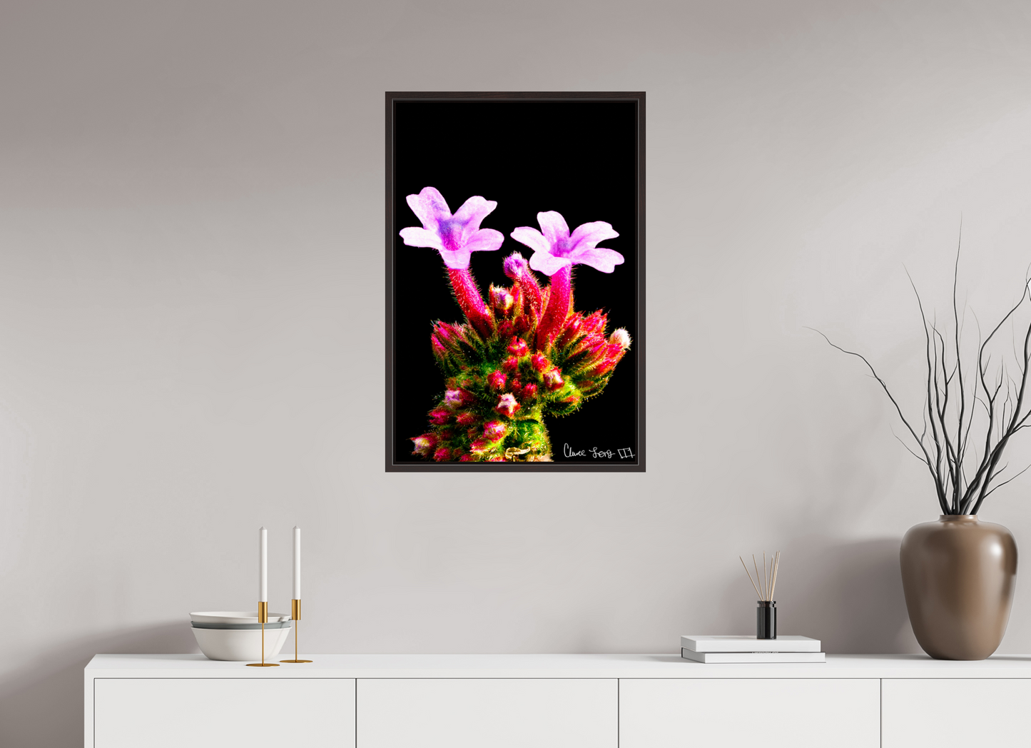 20 x 30″, Floater Frame Alder Brown Vebena Bonariensis Pair