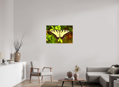 36 x 24″, Glossy Canvas Angel's Landing