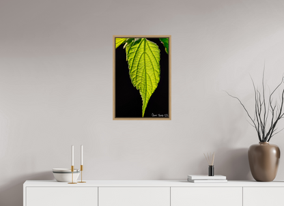 16 x 24″, Floater Frame Natural Oak Eternal Glow