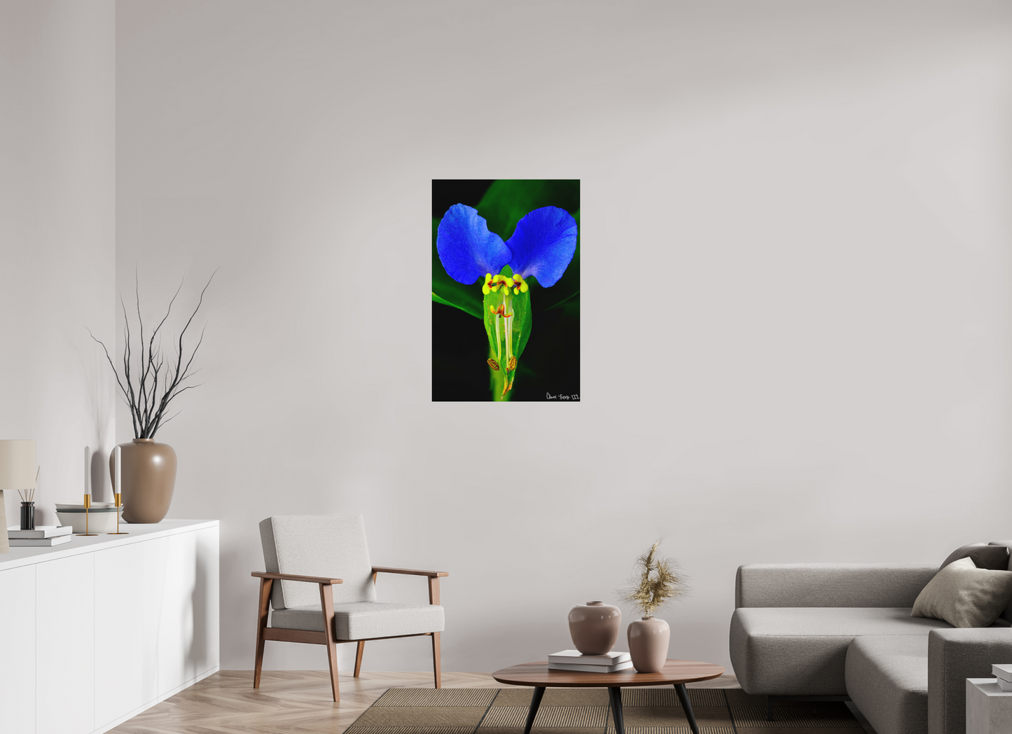 24 x 36″, Matte Metal Asiatic Dayflower