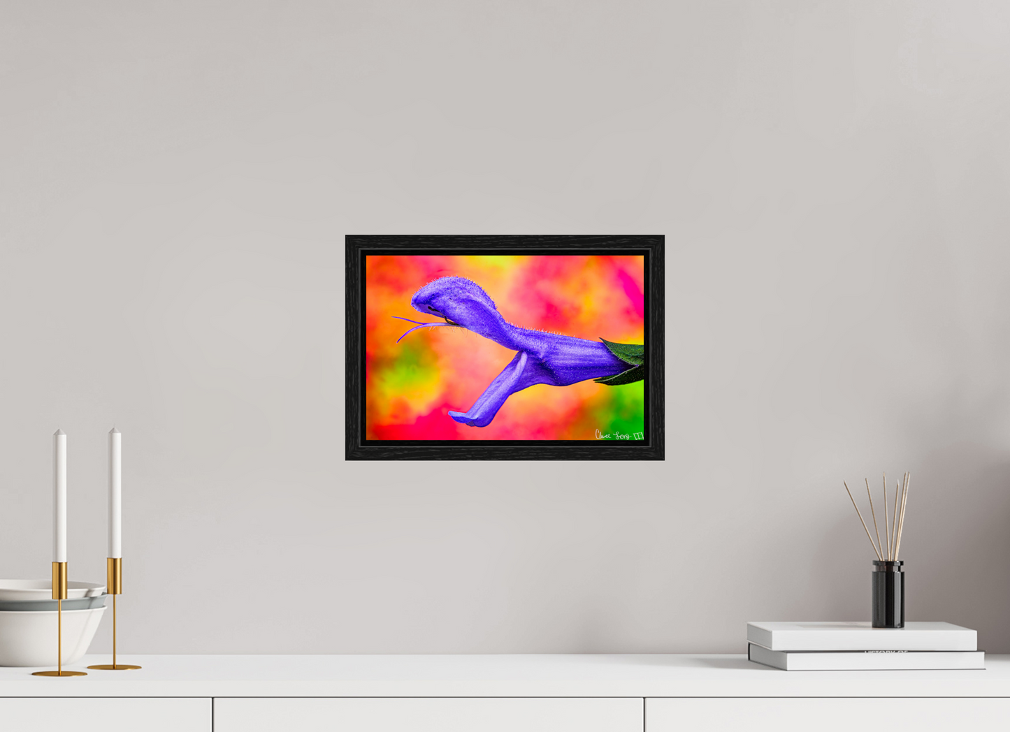 12 x 8″, Floater Frame Black Oak Eden’s Serpent