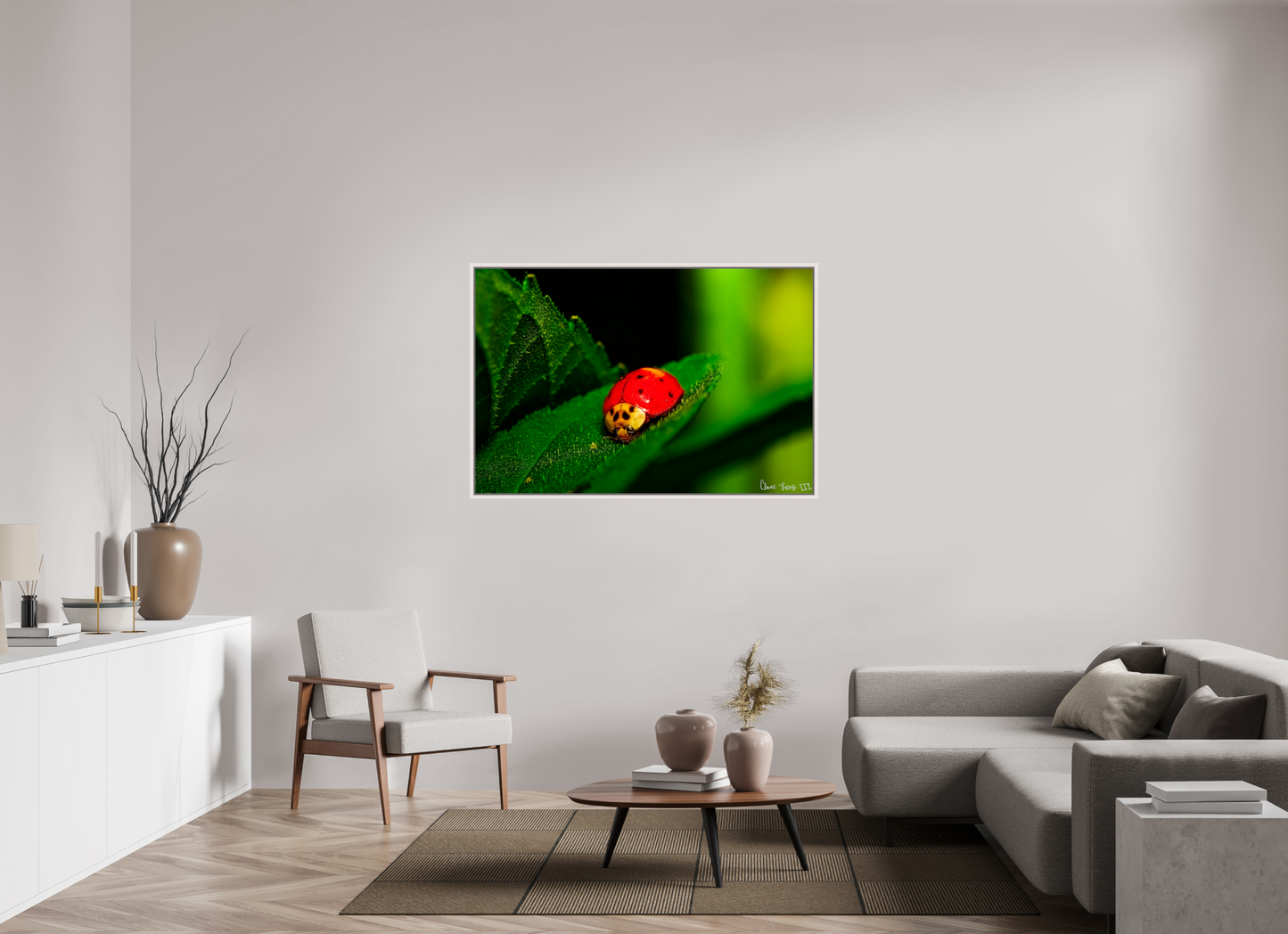 54 x 36″, Floater Frame Maple White Our Lady Bird