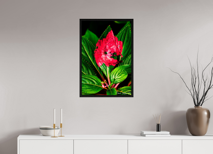 20 x 30″, Floater Frame Black Oak Subsume