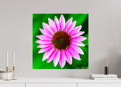 20 x 20″, Glossy Canvas Icosidigon