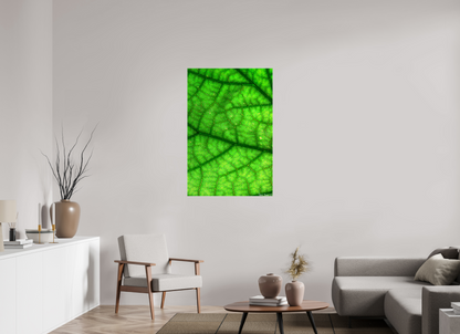 30 x 45″, Glossy Canvas Rivers & Streams