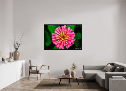 60 x 40″, Floater Frame Black Oak Peach Summer