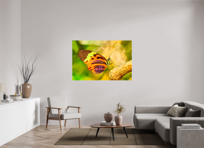 60 x 40″, Glossy Canvas Flamboyance