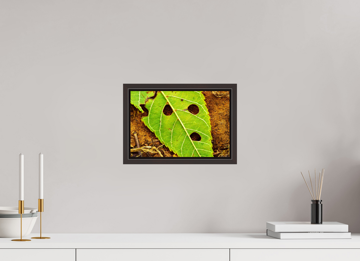 12 x 8″, Floater Frame Alder Brown Flabbergasted