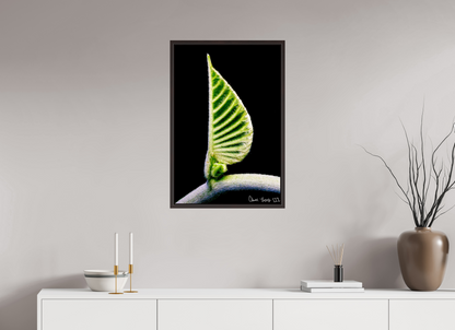 20 x 30″, Floater Frame Alder Brown Ocean Odyssey