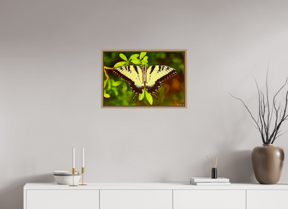 24 x 16″, Floater Frame Natural Oak Angel's Landing