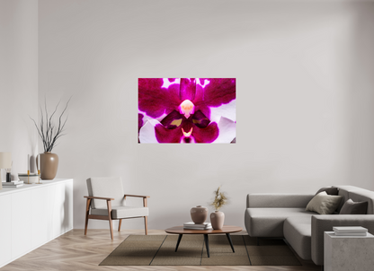 54 x 36″, Glossy Metal Droid Orchid