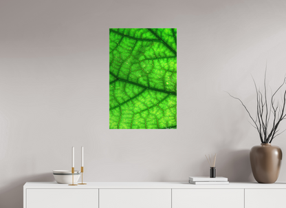 20 x 30″, Matte Canvas Rivers & Streams