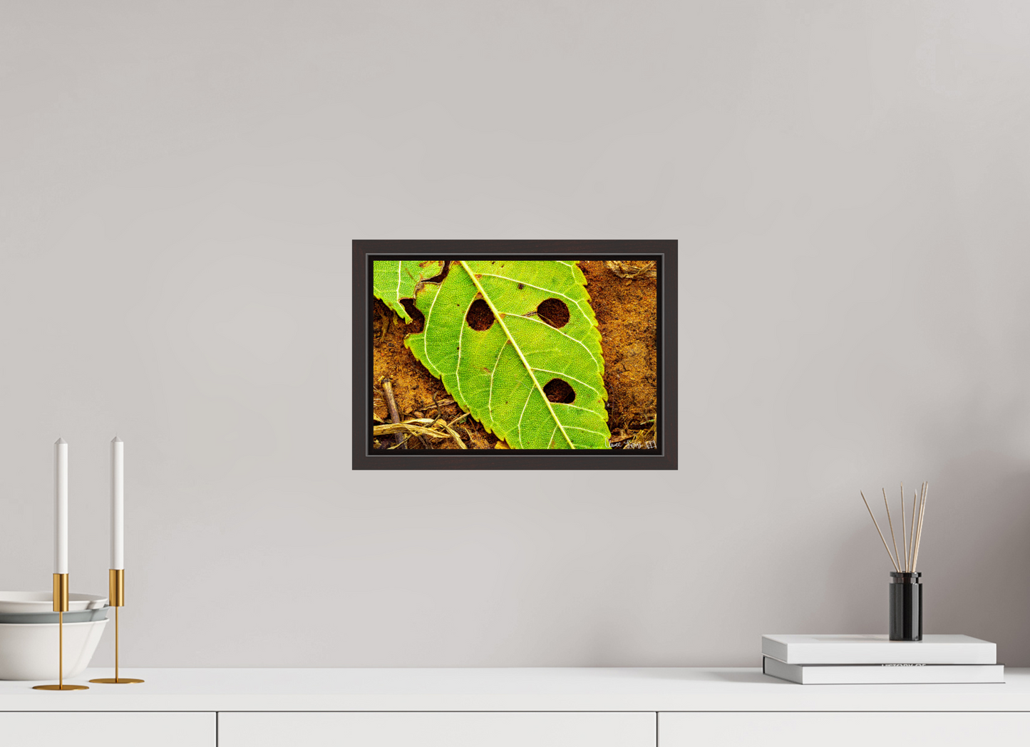 12 x 8″, Floater Frame Alder Brown Flabbergasted