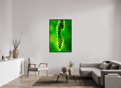 36 x 54″, Floater Frame Black Oak Harmonic Trinity