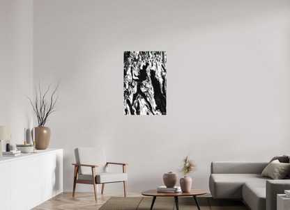 24 x 36″, Forex Frolicking Shadows