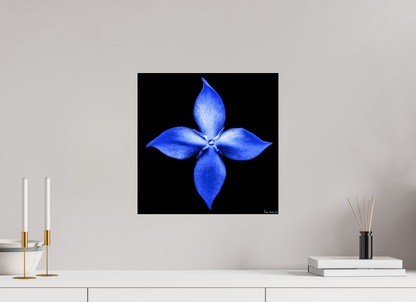 15 x 15″, Acrylic Halcyon Compass