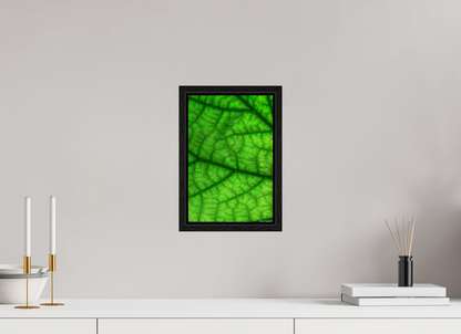 8 x 12″, Floater Frame Black Oak Rivers & Streams