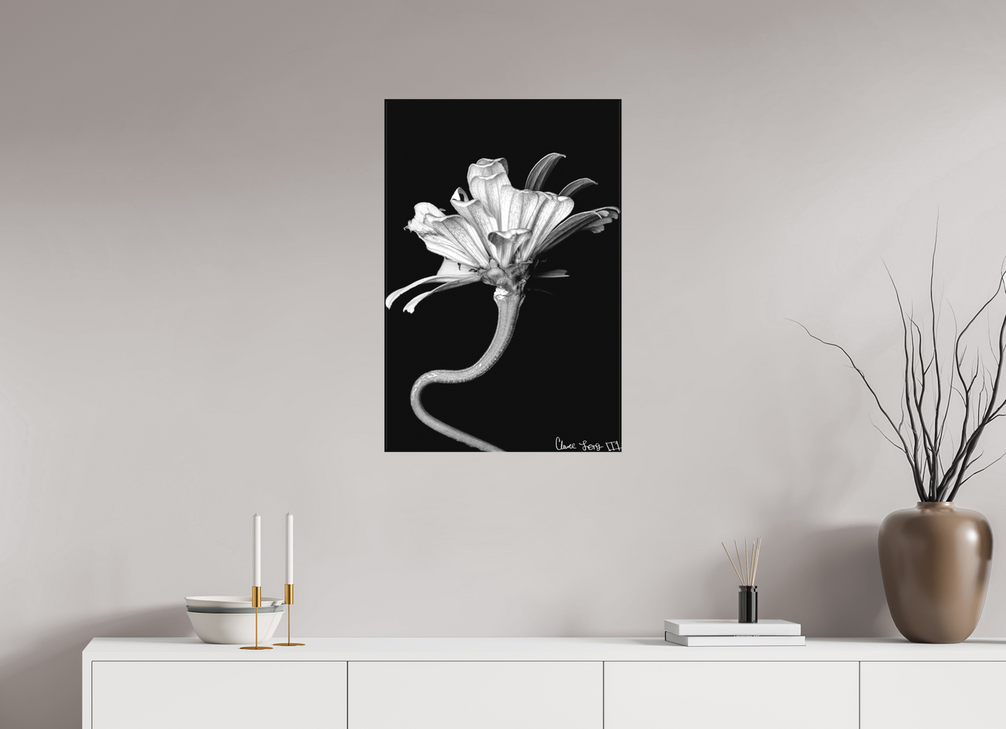 20 x 30″, Matte Canvas Kingsnake’s Florescence