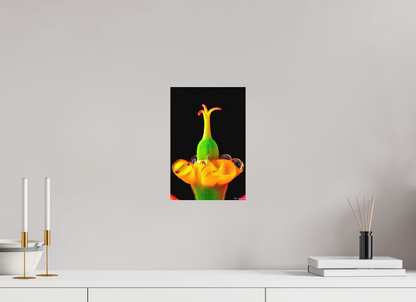 8 x 12″, Forex Bubble Fountain