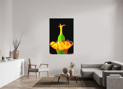 40 x 60″, Matte Canvas Bubble Fountain