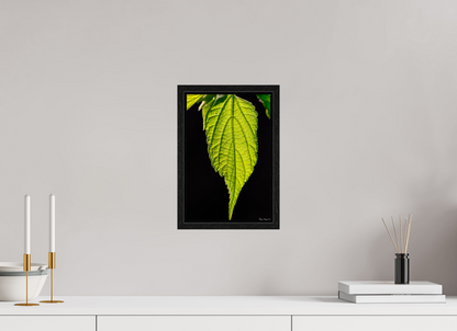 8 x 12″, Floater Frame Black Oak Eternal Glow