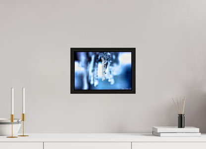 12 x 8″, Floater Frame Black Oak Sickle of Boreas