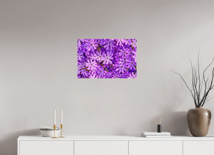 24 x 16″, Acrylic Lavender Moss Phlox