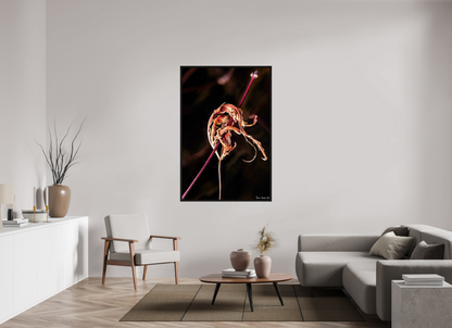 40 x 60″, Floater Frame Black Oak Impaled