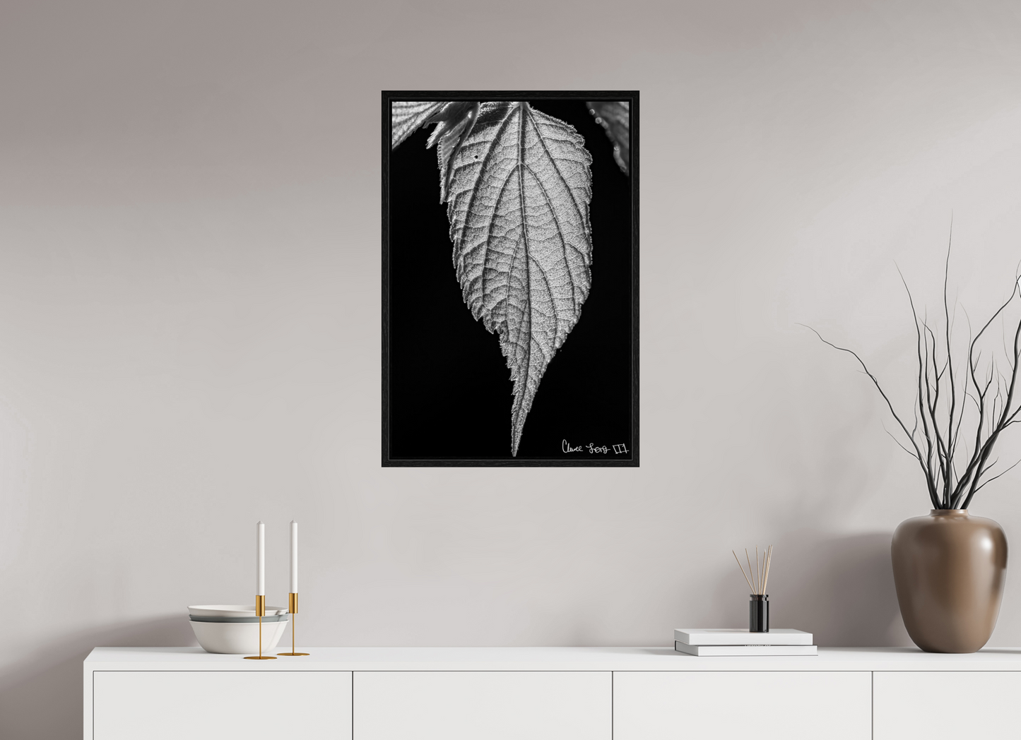 20 x 30″, Floater Frame Black Oak Reticulate Venation