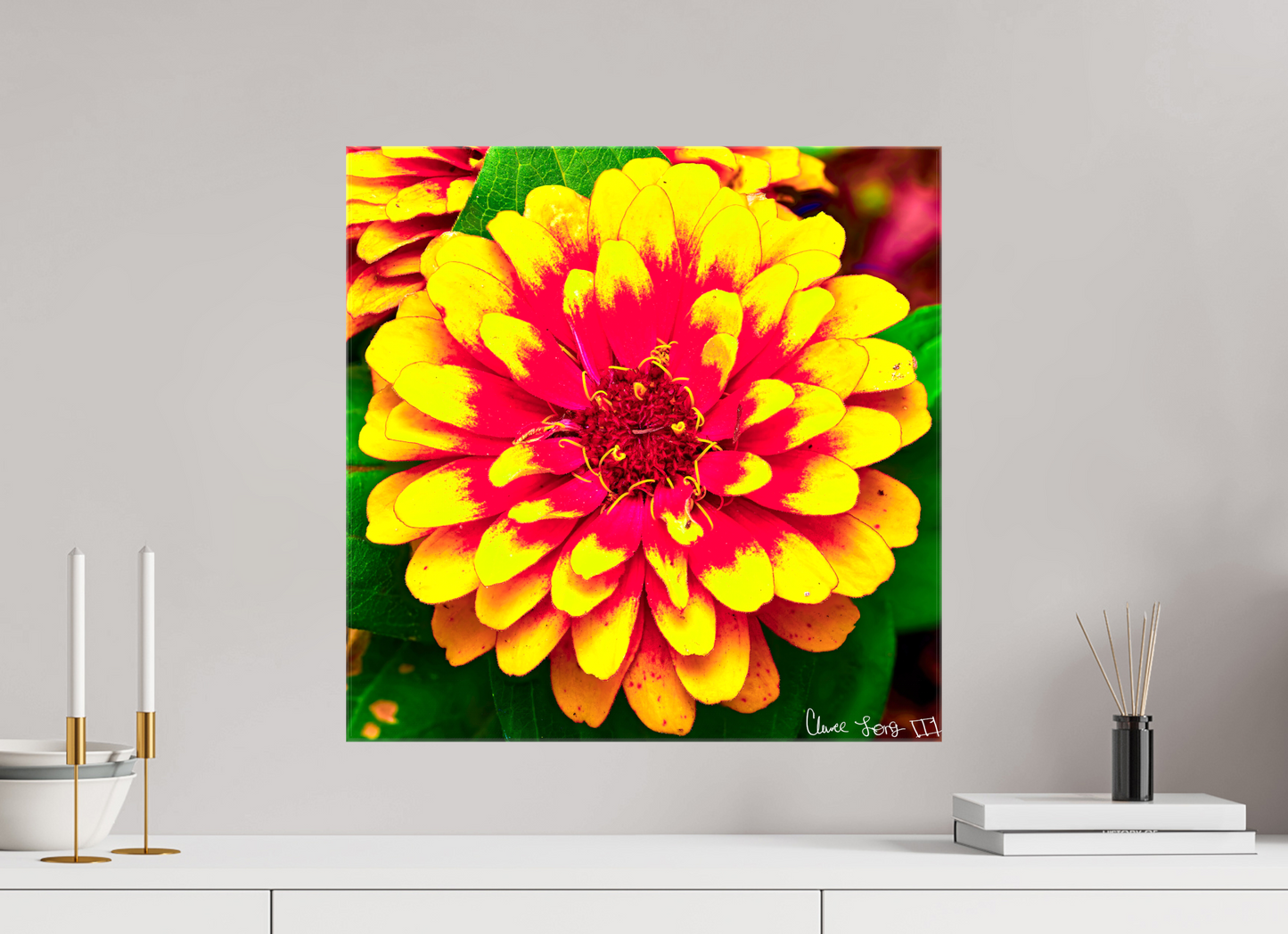 20 x 20″, Glossy Canvas Radiance