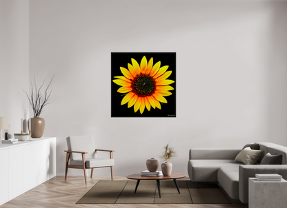 45 x 45″, Floater Frame Black Oak Nana’s Sunflower