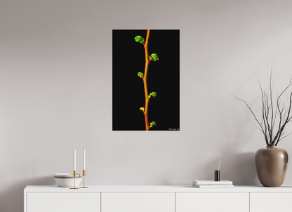 20 x 30″, Matte Metal The Ladder of Life