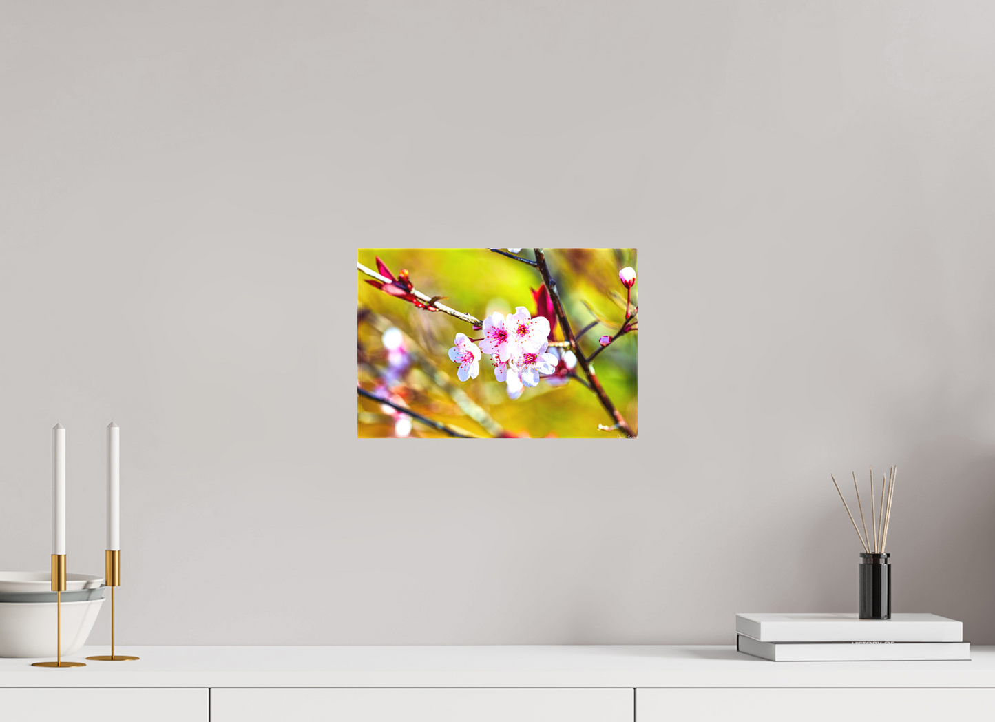 12 x 8″, Matte Canvas Cherry Blossom