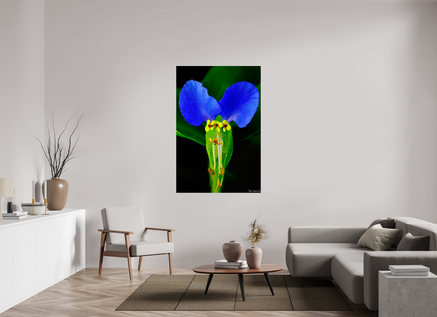 40 x 60″, Glossy Metal Asiatic Dayflower
