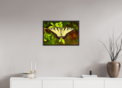 24 x 16″, Floater Frame Alder Brown Angel's Landing