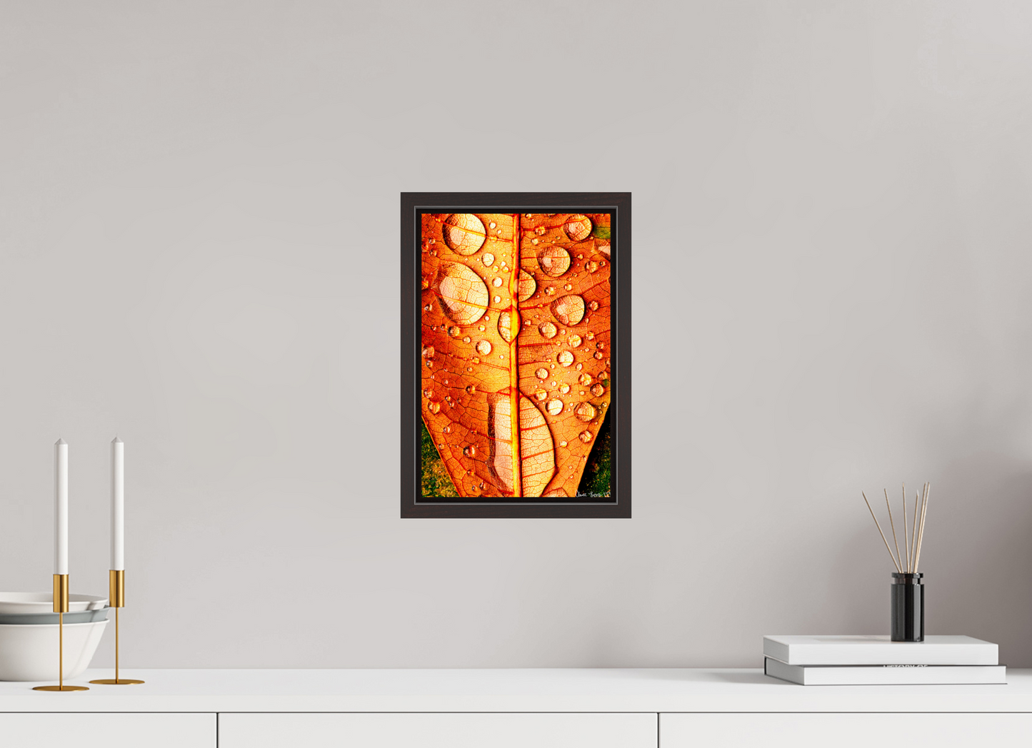 8 x 12″, Floater Frame Alder Brown Transparency