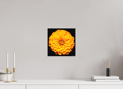 10 x 10″, Matte Metal Midnight Sun
