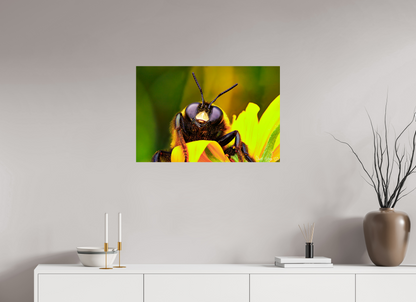 30 x 20″, Glossy Metal The Curious Bumblebee