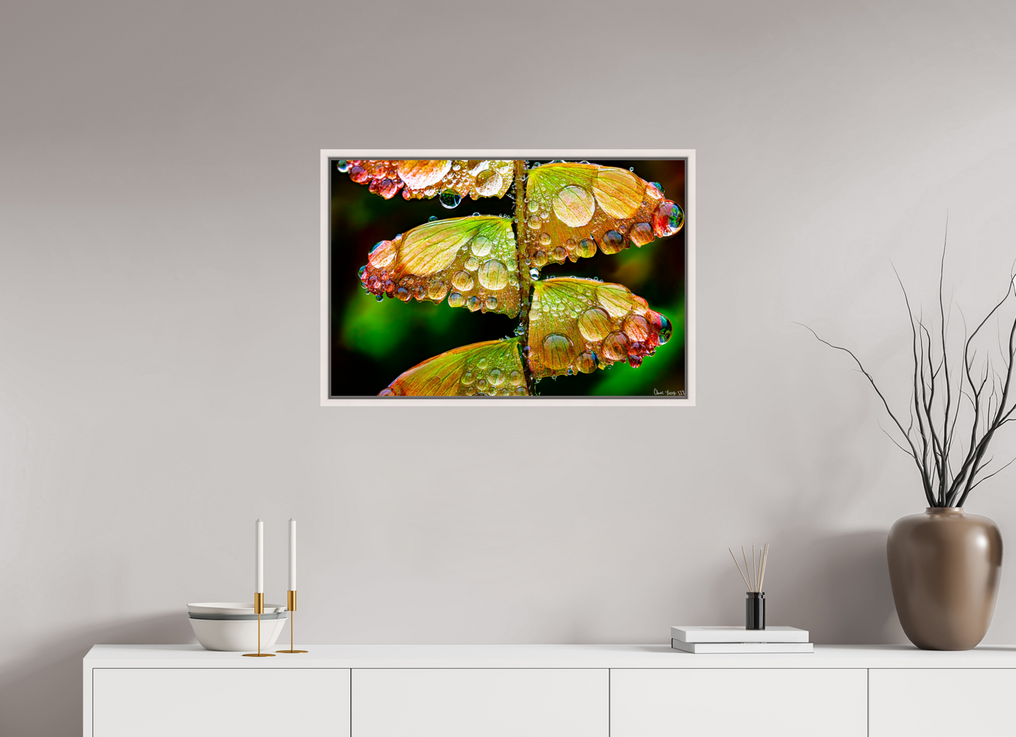 30 x 20″, Floater Frame Maple White Monarch’s Abundance