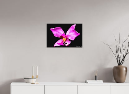 24 x 16″, Matte Metal Efflorescence