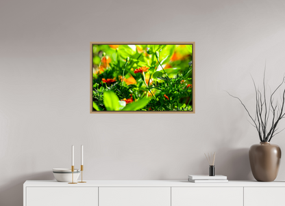 30 x 20″, Floater Frame Natural Oak Prominence