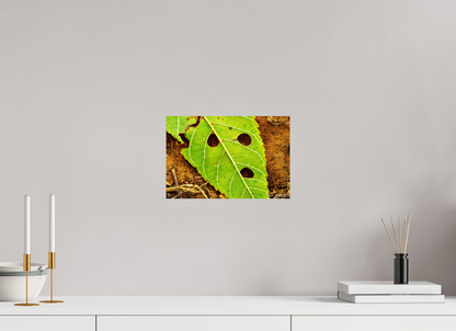 12 x 8″, Glossy Metal Flabbergasted