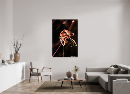 40 x 60″, Glossy Canvas Impaled