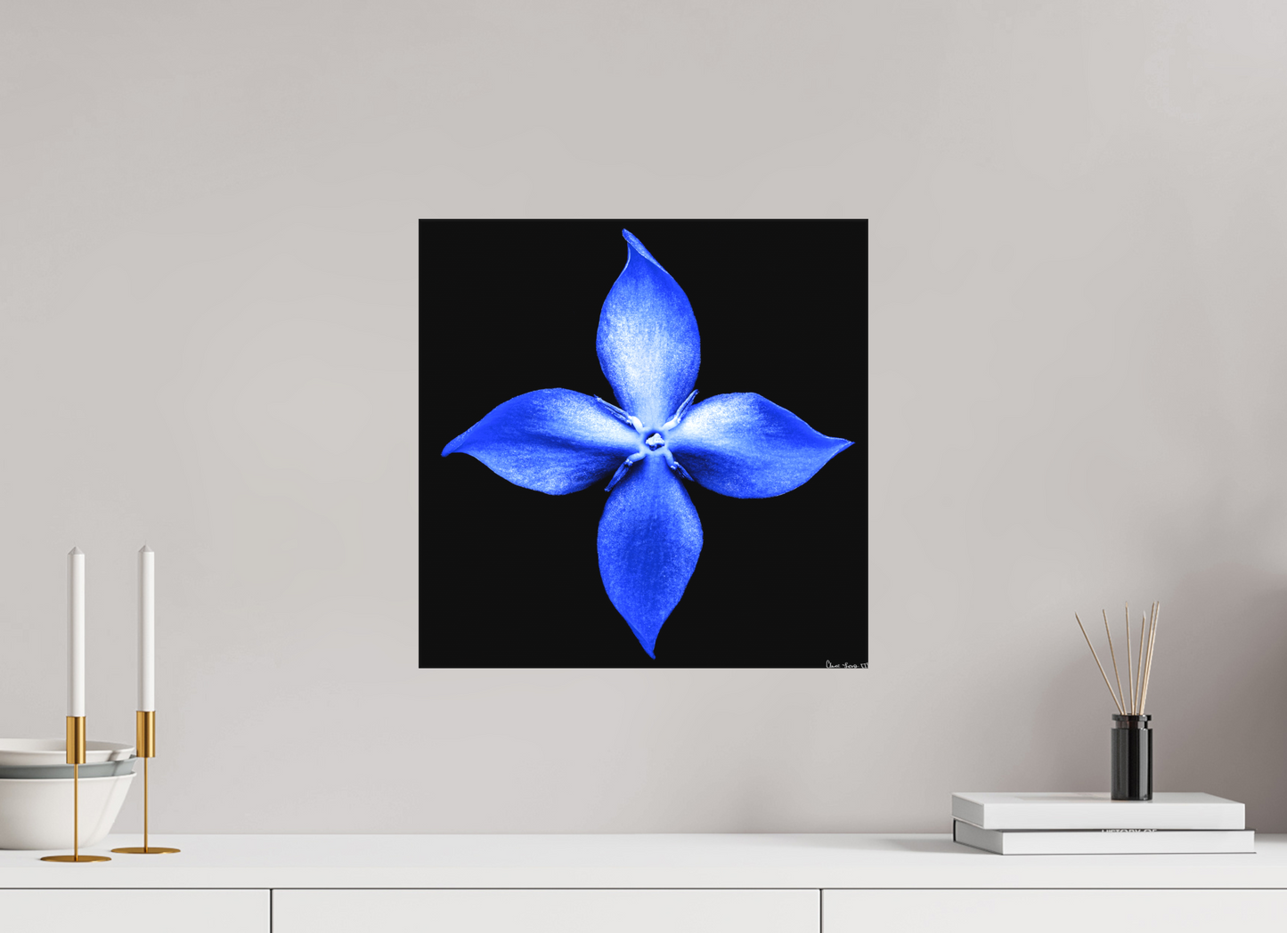 15 x 15″, Matte Canvas Halcyon Compass
