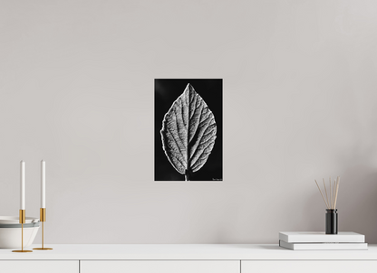 8 x 12″, Matte Metal Eclipse
