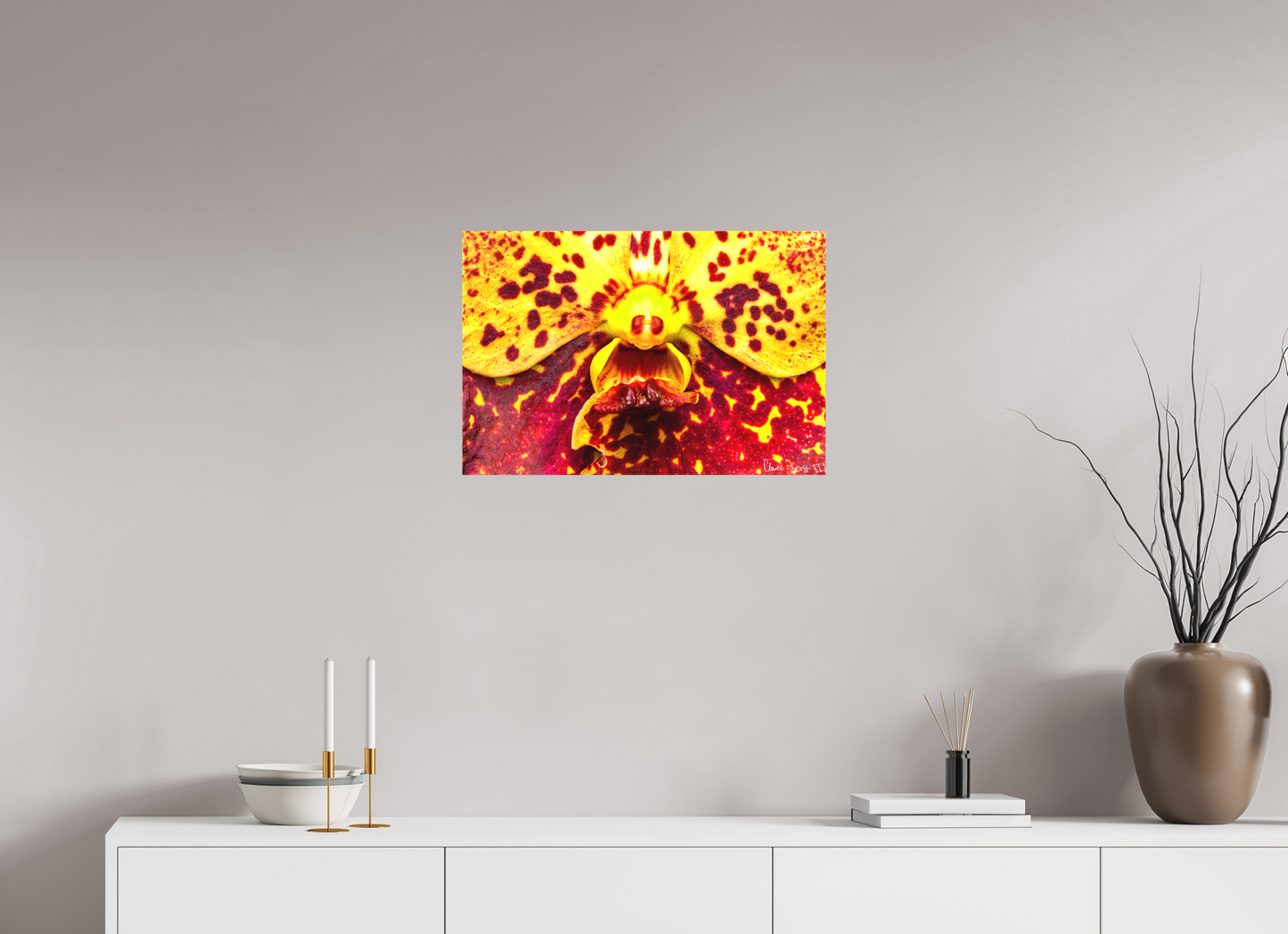 24 x 16″, Matte Canvas The Flying Thing