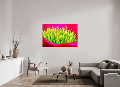 60 x 40″, Glossy Canvas Spiked