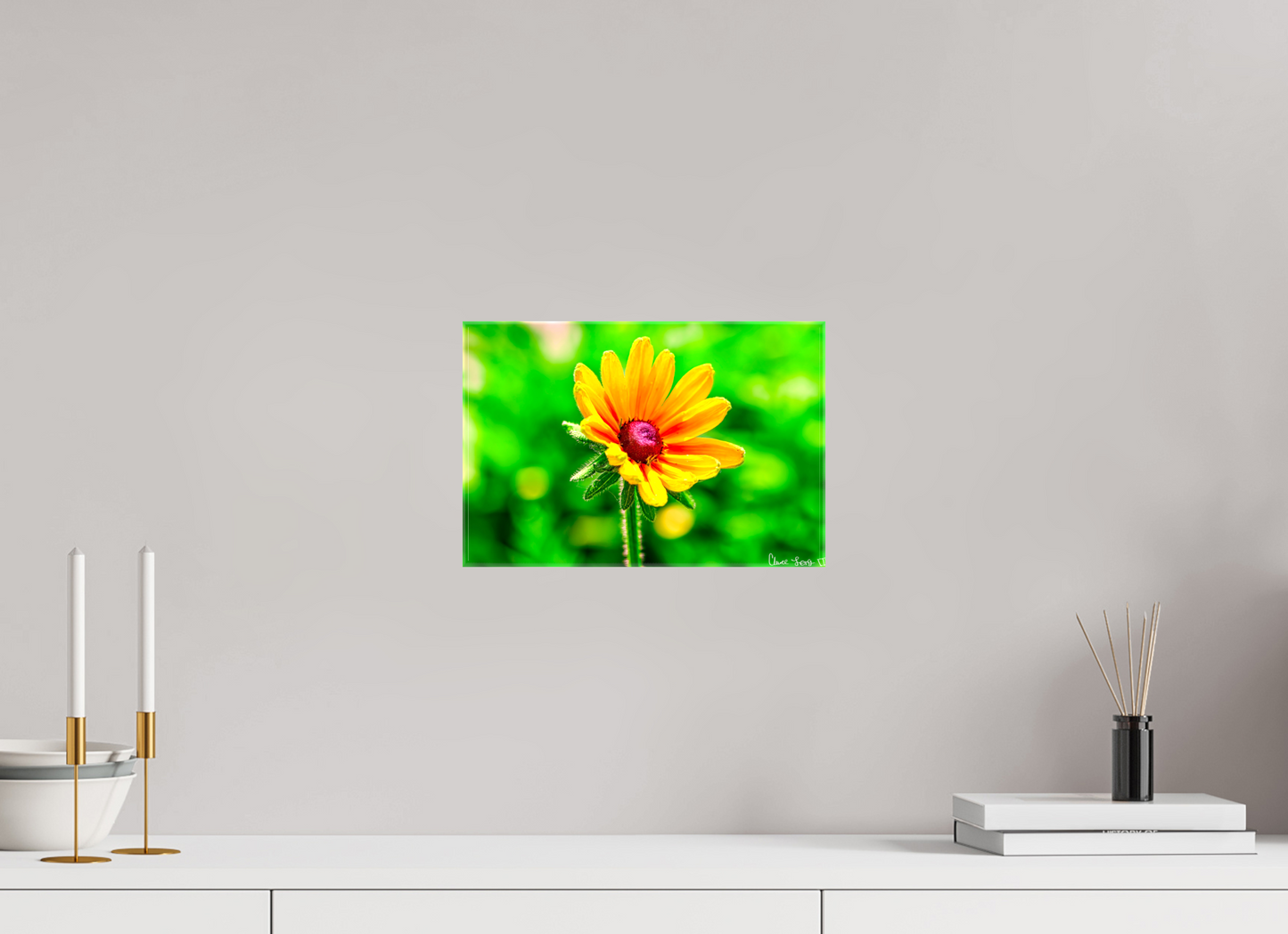 12 x 8″, Glossy Canvas Stillness in the Blur