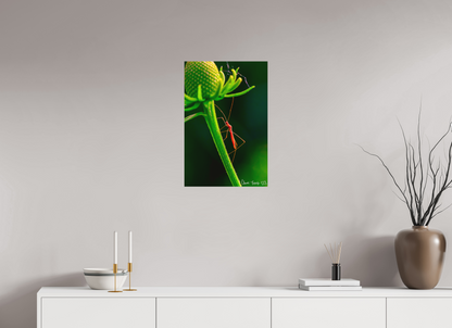 16 x 24″, Forex Reaching the Apex